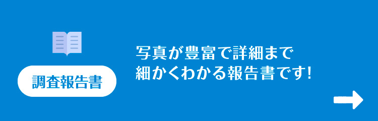 調査報告書