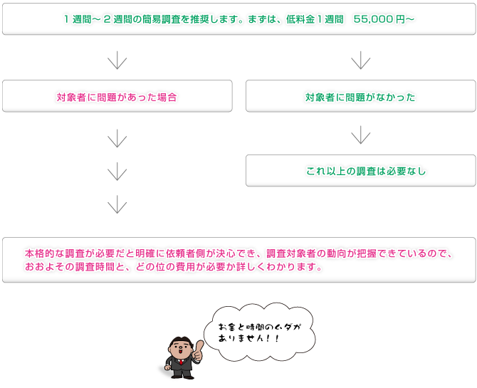 調査の流れ